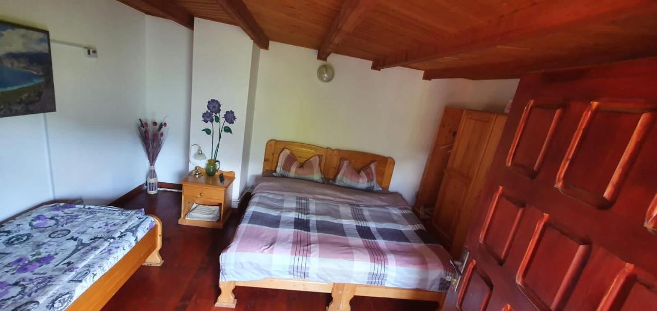 Casa Colt De Rai Villa Brezoi Ngoại thất bức ảnh