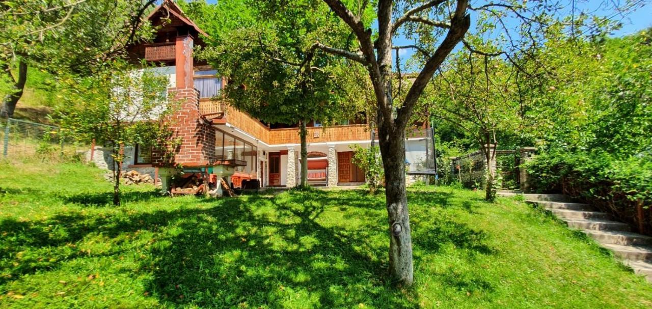 Casa Colt De Rai Villa Brezoi Ngoại thất bức ảnh