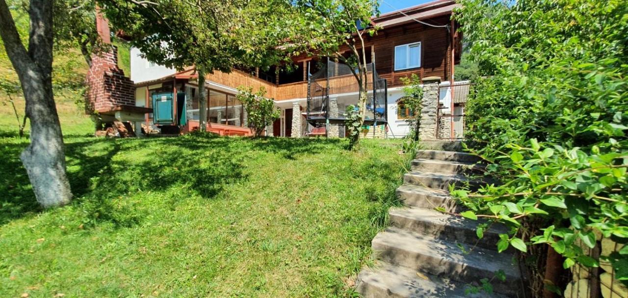 Casa Colt De Rai Villa Brezoi Ngoại thất bức ảnh