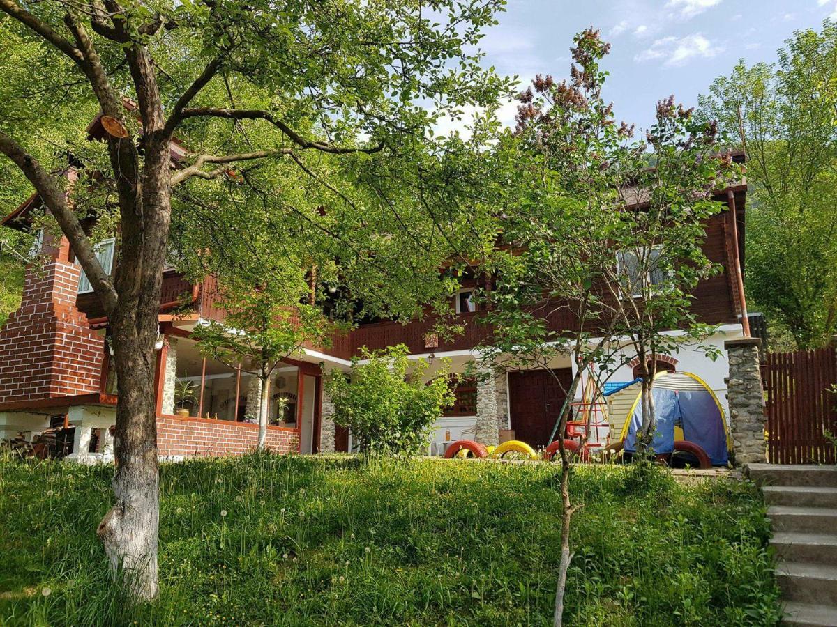 Casa Colt De Rai Villa Brezoi Ngoại thất bức ảnh