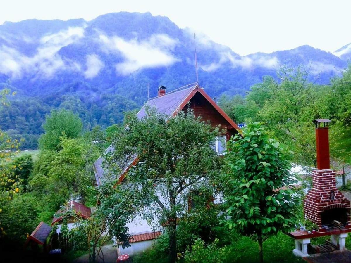 Casa Colt De Rai Villa Brezoi Ngoại thất bức ảnh